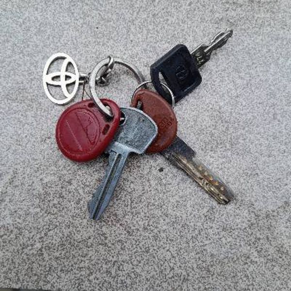 Доброго дня. Знайдені клюці. 095 856 14 14